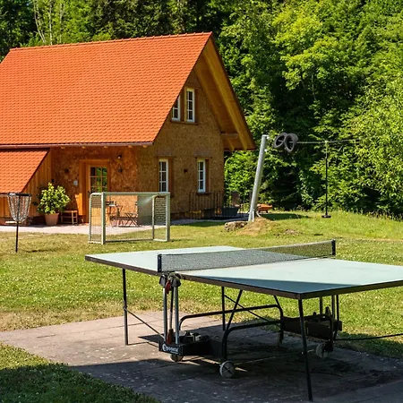Alte Muehle Am Hanselishof *