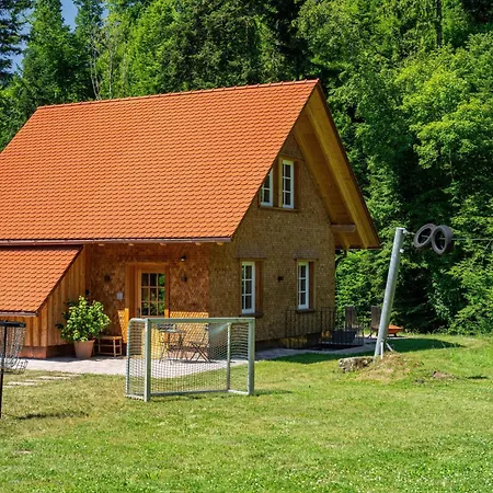 Alte Muehle Am Hanselishof